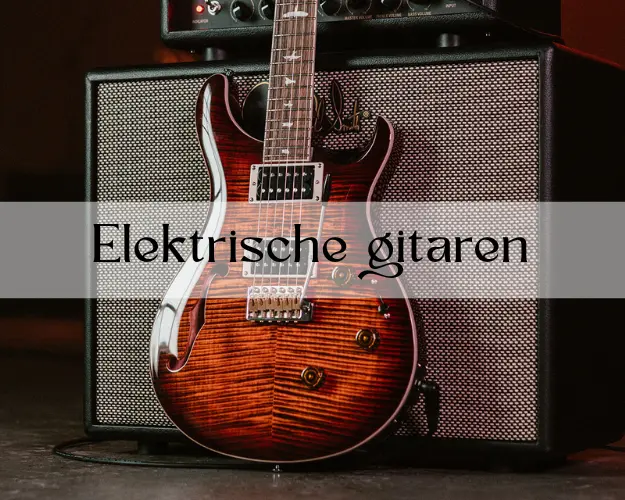 Elektrische gitaren Elektrische gitaren