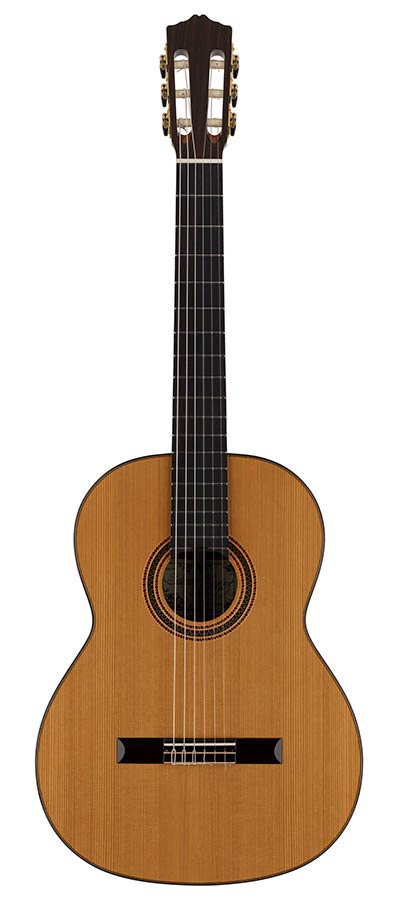 Salvador Cortez solid cedar - solid rosewood + Hardcase