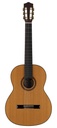 Salvador Cortez solid cedar - solid rosewood + Hardcase