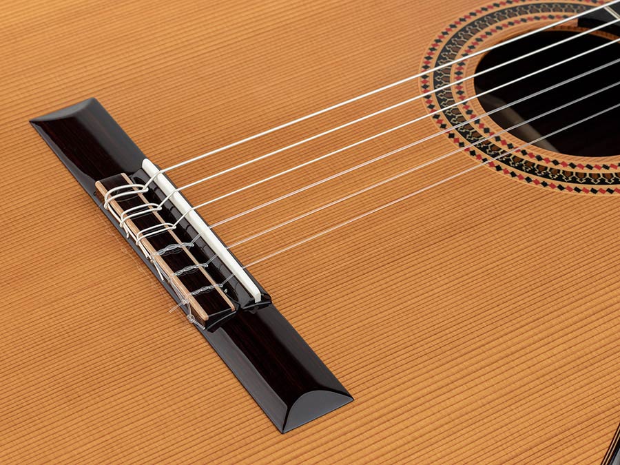 Salvador Cortez solid cedar - solid rosewood + Hardcase