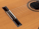 Salvador Cortez solid cedar - solid rosewood + Hardcase