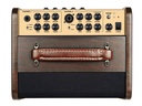 Richwood RPF-65 amp 2 channels, chorus/reverb, looper, drums, dual footswitch