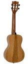 Korala UKC-730 Solid mango top