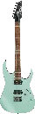 [RG421SSEM] Ibanez RG421S SEM.webp