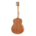 taylor_gs_mini_sapele(1).webp