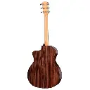 taylor_214ce_plus.webp