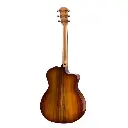 taylor_224ce-k_dlx(1).webp