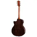 taylor_414ce_next_generation(2).webp