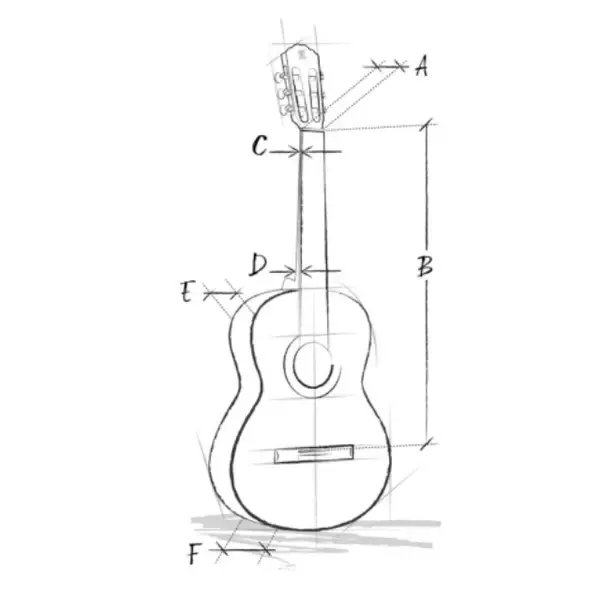 Guitar_Size.webp