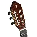 10_Premier_pala.webp