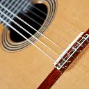 7.webp