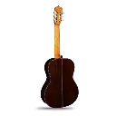 3847_back.webp