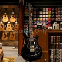 PRS S2 STD22 DOTS BL - BLACK - with bag