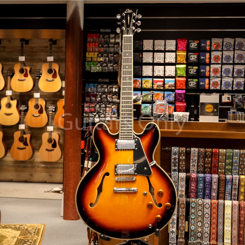 Eko SA350 Semi-Hollowbody Sunburst