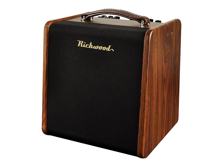 Richwood RPF-65 amp 2 channels, chorus/reverb, looper, drums, dual footswitch