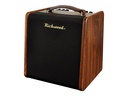 Richwood RPF-65 amp 2 channels, chorus/reverb, looper, drums, dual footswitch