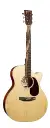 Martin GPC-13E Modern