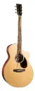 Martin SC-13E Modern