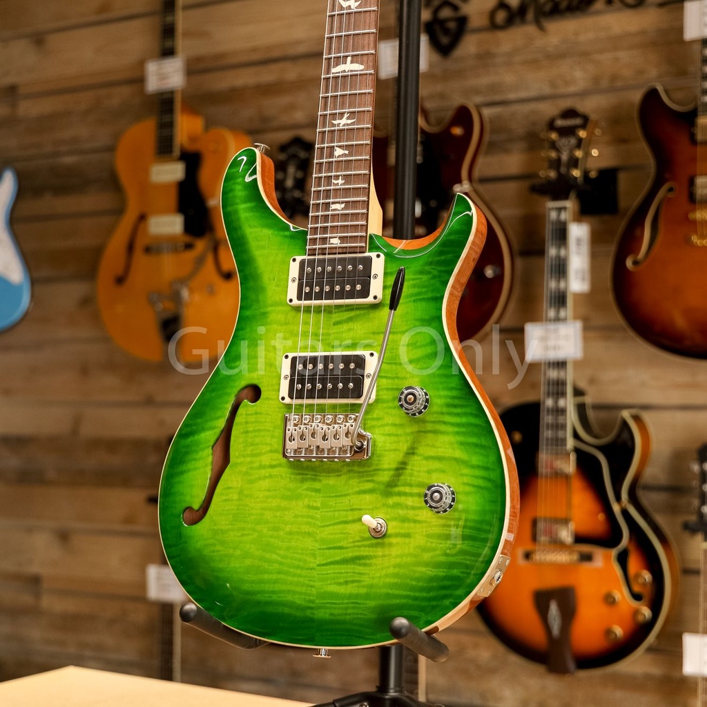 PRS CE24 S/H ER Eriza Verde w/bag