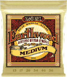 [CEB 2002] Ernie Ball Earthwood 80/20 Bronze 13-56