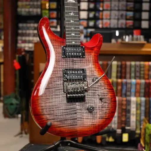 Prs SE Custom 24 Floyd CCB