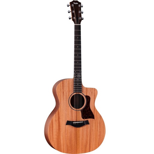 Taylor 24ce
