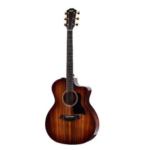 [Taylor 224ce-K DLX] Taylor 224ce-K DLX