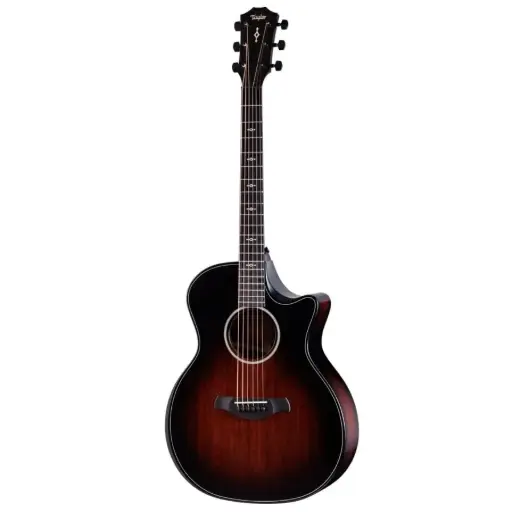 [Taylor 324ce Next Generation Builder's Edition] Taylor 324ce Next Generation Builder's Edition