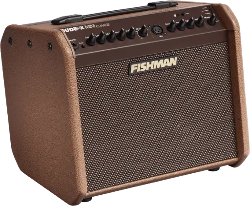 Fishman Loudbox Mini Charge 60 Watt - Bluetooth